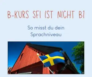 Warum der B-Kurs SFI nicht das Gleiche ist wie B1