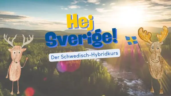 Schwedisch Selbstlernkurs