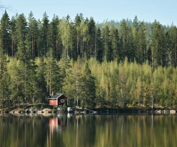 nils-soderman-4UWudQOjPY4-unsplash